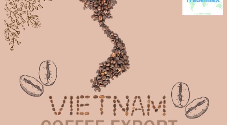 Coffee is Becoming a Popular Export Beverage Amongst  Vietnamese Traders
