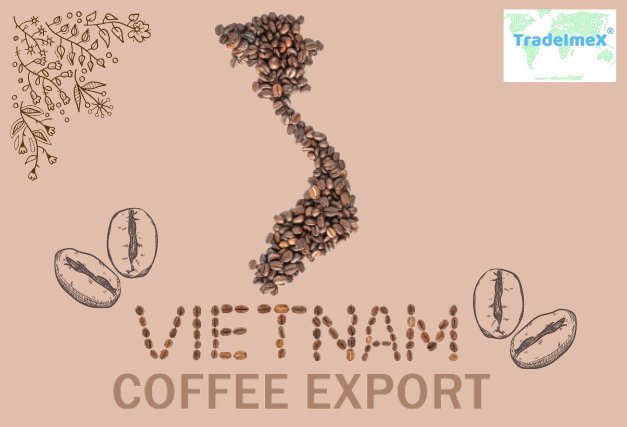 Coffee is Becoming a Popular Export Beverage Amongst  Vietnamese Traders