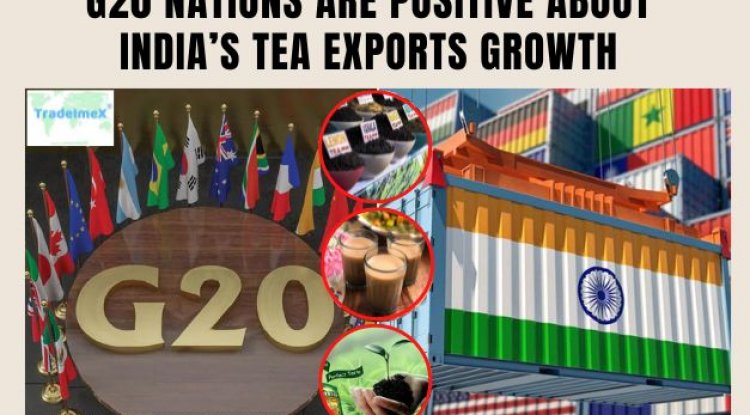G20 nations are positive about India’s tea exports growth