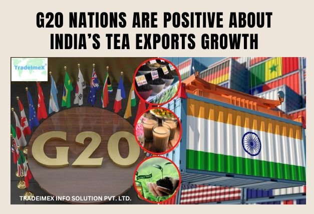 G20 nations are positive about India’s tea exports growth