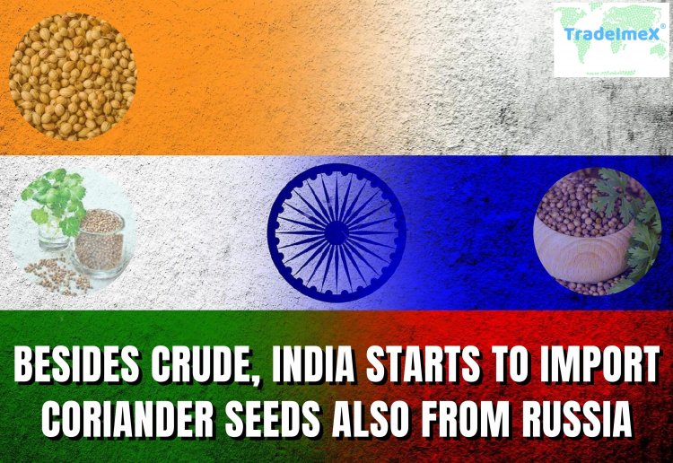 Besides Crude, India Starts to Import Coriander Seeds also from Russia