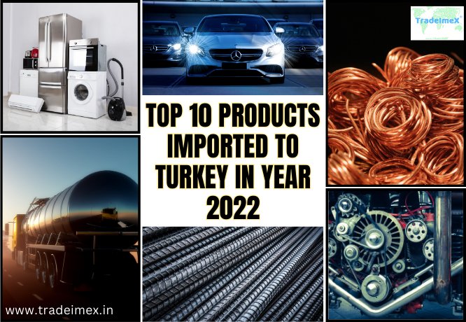 Top 10 Products Imported by Turkey in the year 2022