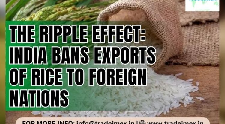 The Ripple Effect: Understanding Which Nation Is Affected The Most Due To India's Ban On Rice Exports