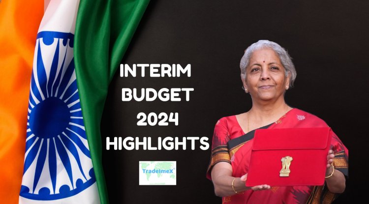 India’s Ambitious Interim Union Budget 2024-25