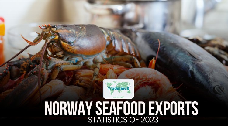 Norway's Top Seafood Exports in 2023