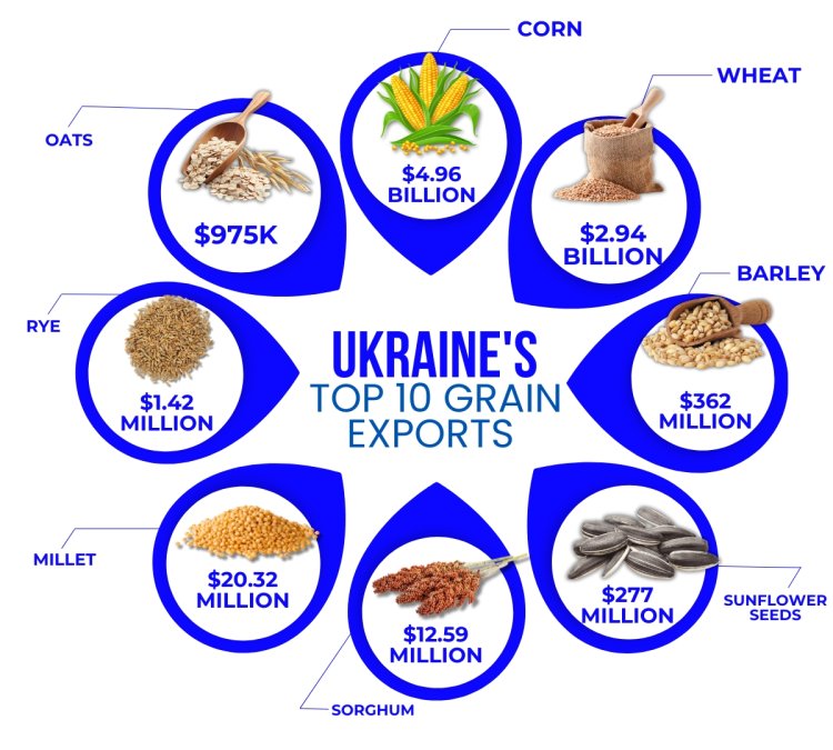 Ukraine's Top 10 Biggest Grain Exports in 2023 | top 10 seed exports of Ukraine