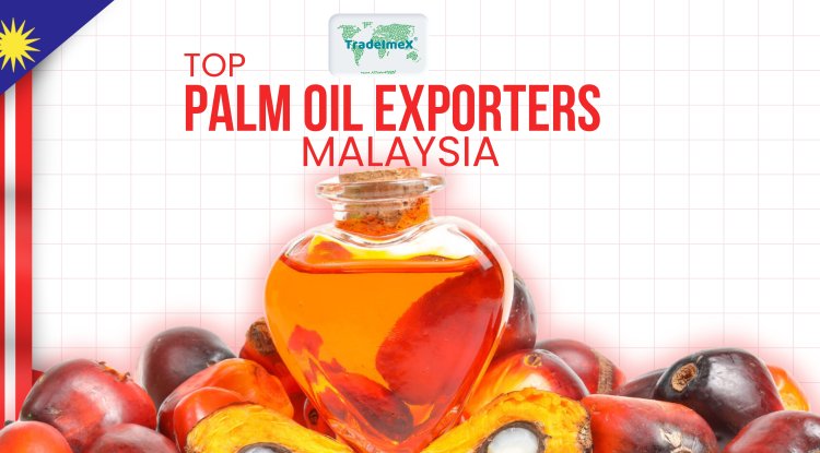Top Palm Oil Exporters in Malaysia: Palm Oil Export Database