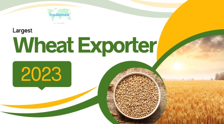 Top wheat exporter in the world in 2023
