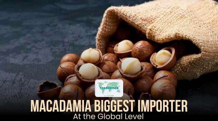 Macadamia Biggest Importers At The Global Level