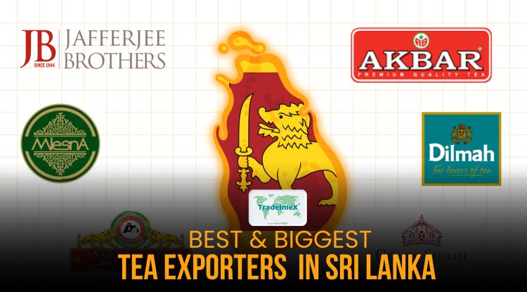 Sri Lanka Tea Export Insight: Major Tea Exporters and Suppliers in Sri Lanka