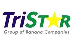 Tristar Group of Banana Companies: