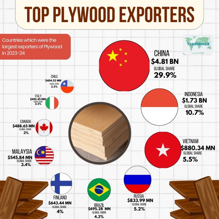 Top Plywood Exporters in the World
