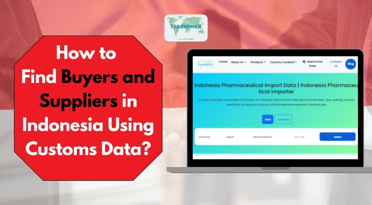How to Find Buyers and Suppliers in Indonesia Using Customs Data?