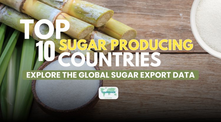 Top 10 Sugar Producing Countries: Explore the Global Sugar Export Data