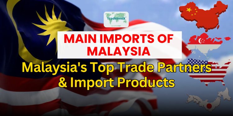 Main imports of Malaysia: Malaysia's Top Trade Partners & Import Products