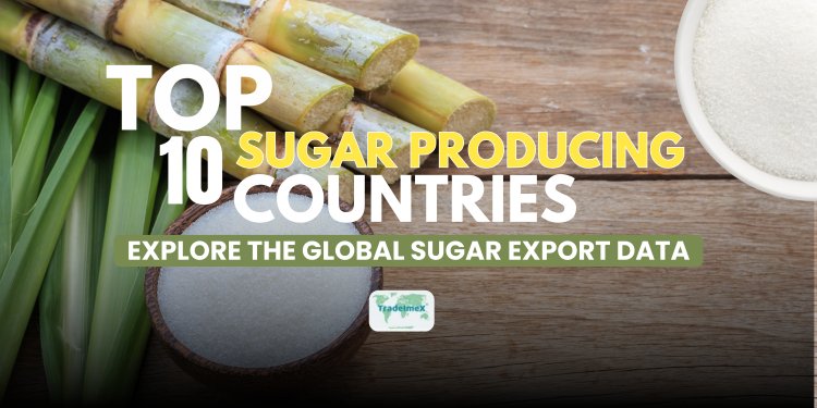 Top 10 Sugar Producing Countries: Explore the Global Sugar Export Data