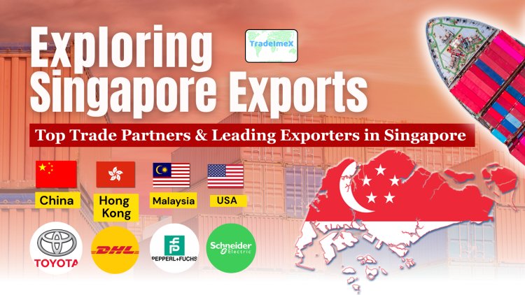 Exploring Singapore Exports: Top Trade Partners & Leading Exporters in Singapore