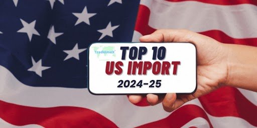 What are US Top 10 Imports?