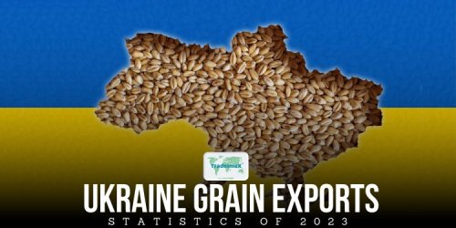 Ukraine Grain Exports total value at $8.30 billion in 2023
