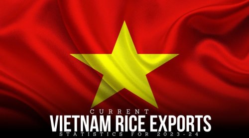Current Vietnam Rice Exports Statistics for 2023-24