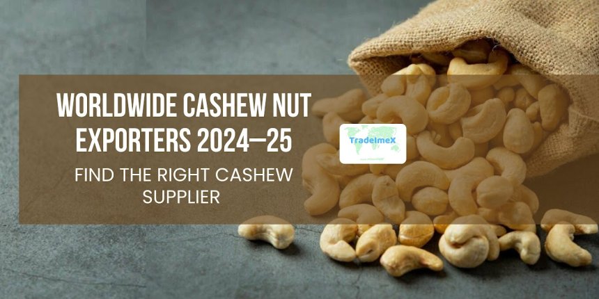 Worldwide Cashew Nut Exporters 2024-25: Find the Right Cashew Nut Supplier