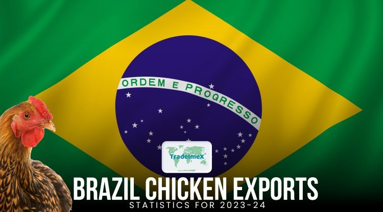 Brazil chicken exports total value of $8.97 billion in 2023
