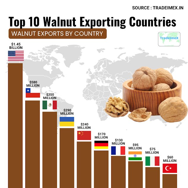 Walnut Exports by Country 2024-25