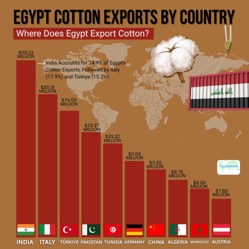 Egypt Cotton Exports