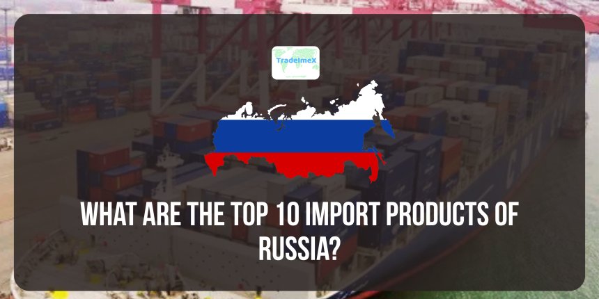 What are the top 10 import products of Russia?
