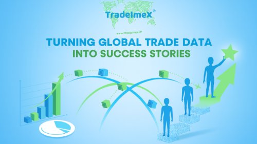 TradeImeX: Turning Global Trade Data Into Success Stories
