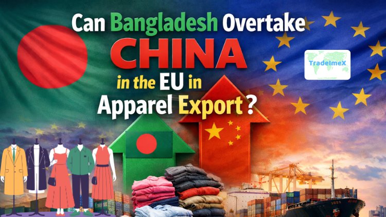 Can Bangladesh Overtake China in the EU in Apparel Export?