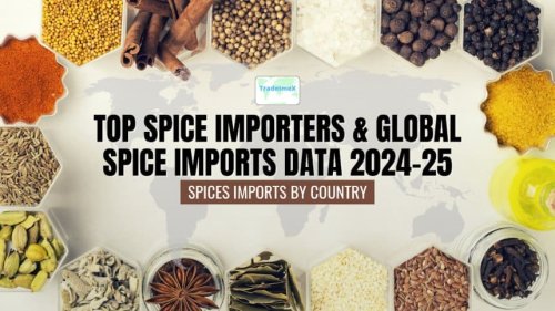 Top Spice Importers & Global Spice Imports Data 2024-25: Spices Imports by Country