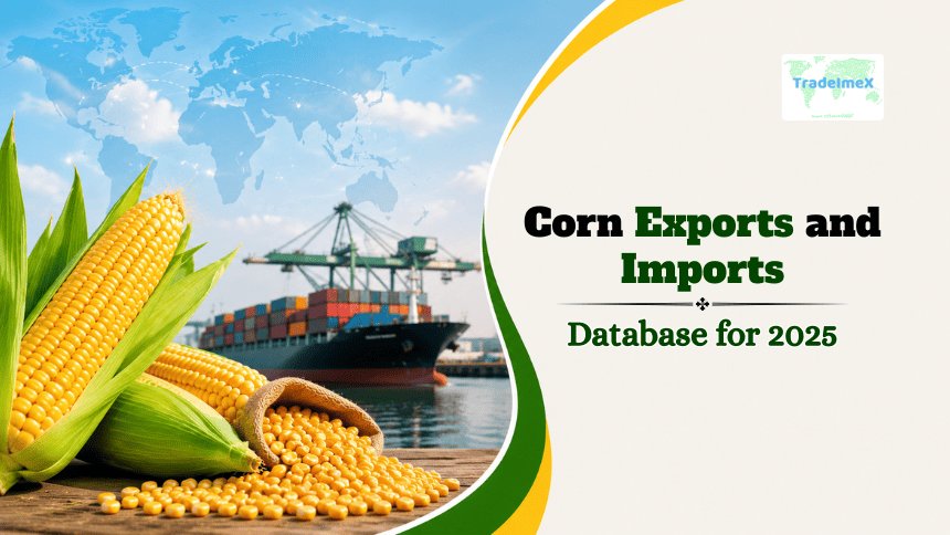 Corn Exports and Imports Database for 2025
