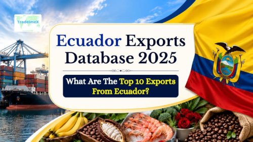 Ecuador Exports Database 2025: What Are the Top 10 Exports From Ecuador?