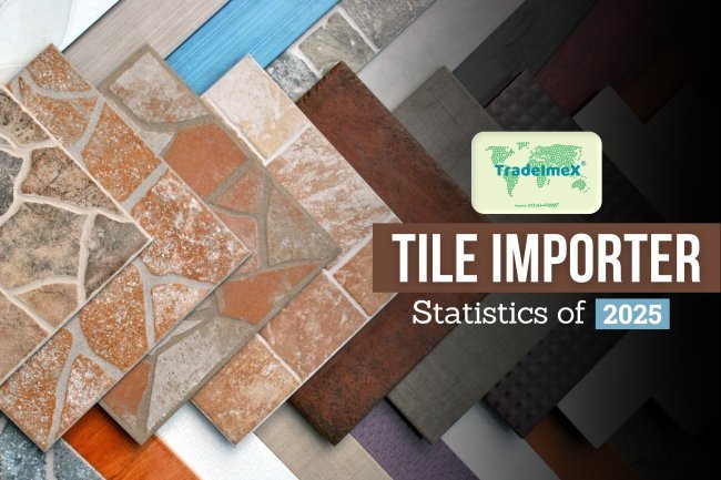 Tile Importer Statistics of 2025